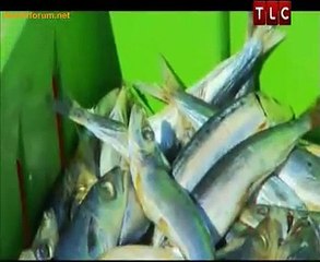 Lonely Planet Stressbuster 12th December 2014 Video Watch Online pt1