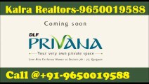 Independent Floors |965x0019588| DLF Privana Sector 76 Gurgaon