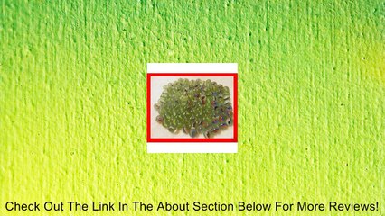 500 Pieces Cats Eyes Glass Marble / Sling Shot Ammo Review