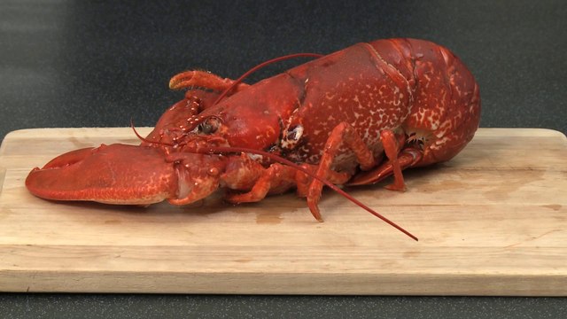 Comment cuire un homard ? - Gourmand