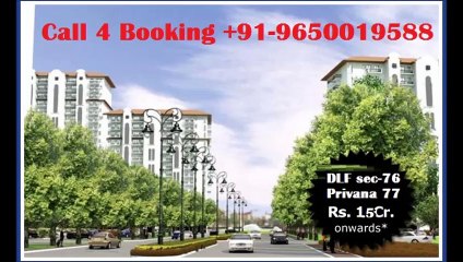 965OOI9588 Residential Apartment for Sale in DLF Privana Sector 76&77