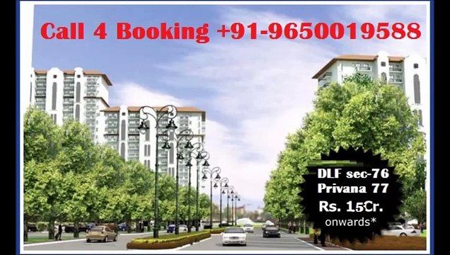965OOI9588 Residential Apartment for Sale in DLF Privana Sector 76&77