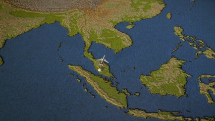 Malaysia Airlines flight MH370