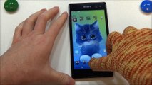 Sony Xperia C3 - итоговый обзор селфи-смартфона, демонстрация работы