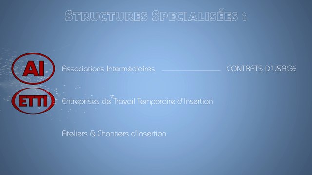 Qu'est-ce-que l'Insertion par l'Activité Economique (IAE) ?