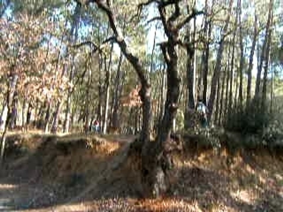 Benoit road gap bollene