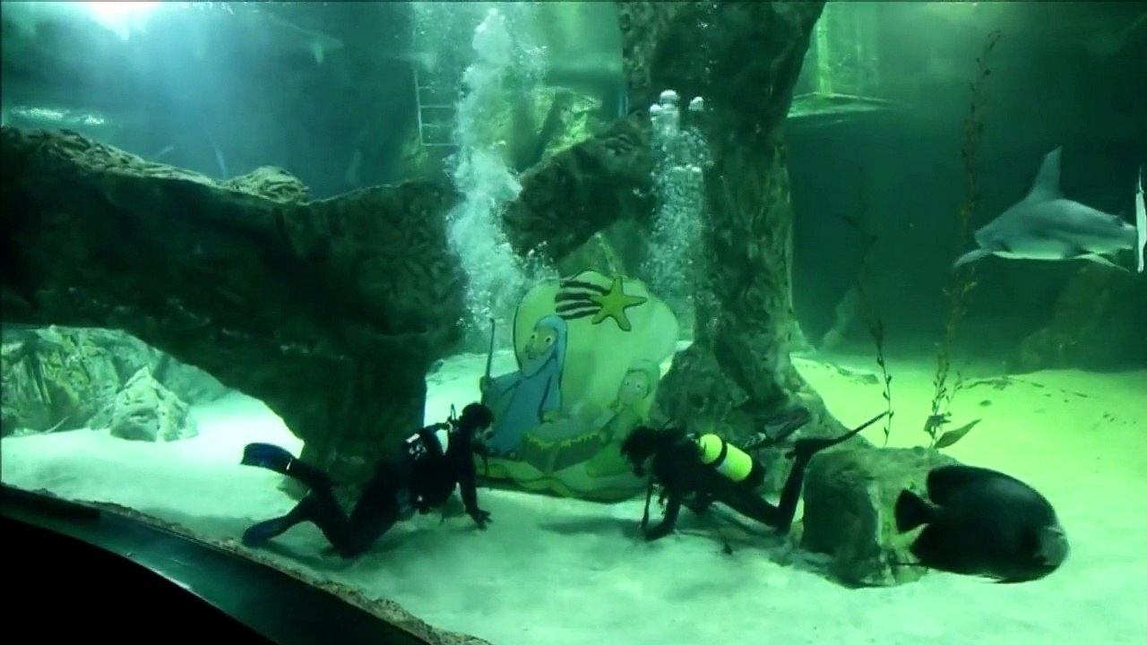 La Navidad de los tiburones de Madrid