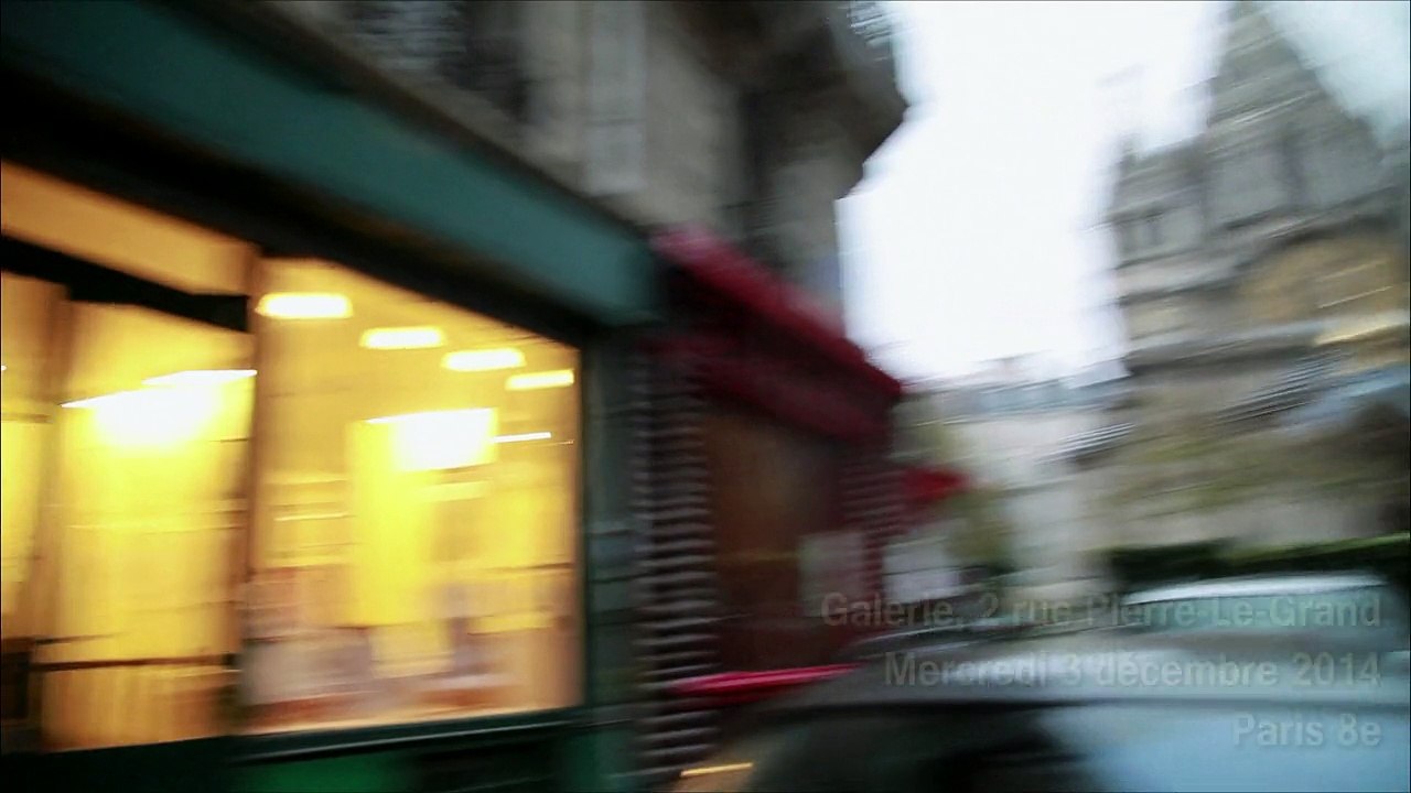 Vernissage de l'exposition Hara-Kiri de Marc-Edouard Nabe, Sortie de Patience