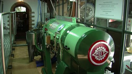 سنة سوداء لزيت الزيتون في معصرة سيزاري بوناميتشي