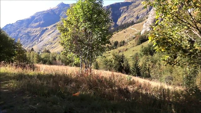 Retour sur CHAMPAGNY-EN-VANOISE