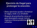 Ejercicios kegel para mejorar las erecciones (explicacion sencilla)