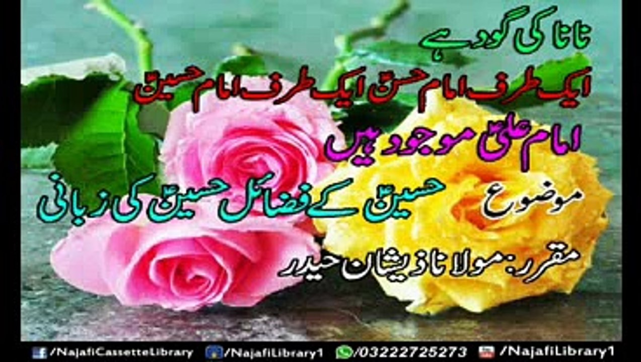Imam Hussain a.s Ky Fazail Imam Hussain a.s Ki zabani by Maulana Zeeshan Haider