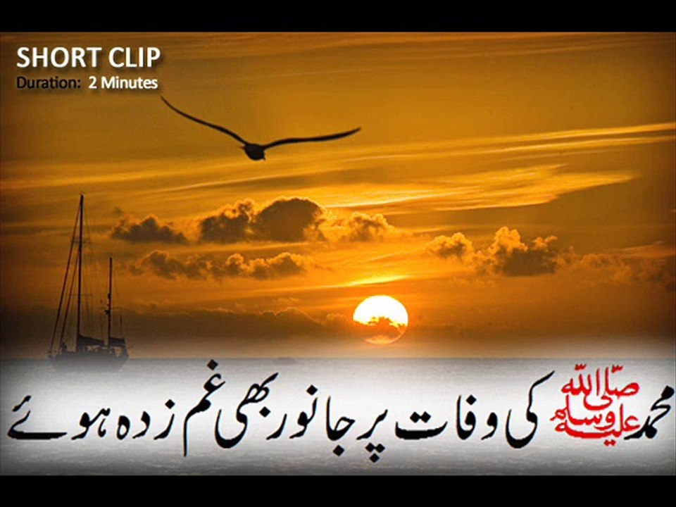 Muhammad (S.A.W) Ne Dunya Se Pardah Farmaya To Janwar Bhe Gamgeen Hue