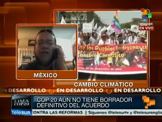 Para potencias los "Fondos verdes" son un pago por contaminar: experto