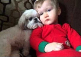 Baby and Dog Share a Special Moment