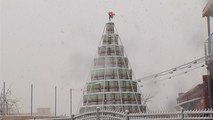 Brewing Company Builds Two-Story Xmas Tree Out of Kegs