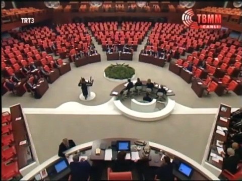 Zeynep Karahan Uslu, 12 Aralık 2014, TBMM Genel Kurulu, RTÜK Bütçesi