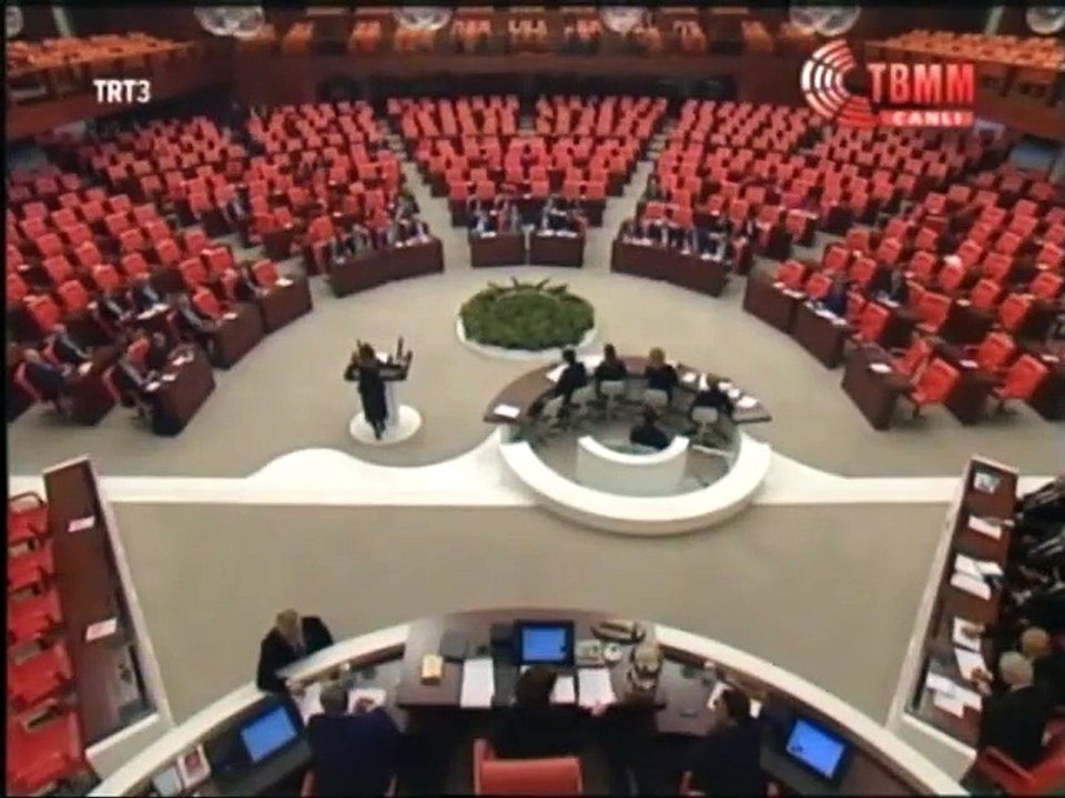 Zeynep Karahan Uslu, 12 Aralık 2014, TBMM Genel Kurulu, RTÜK Bütçesi