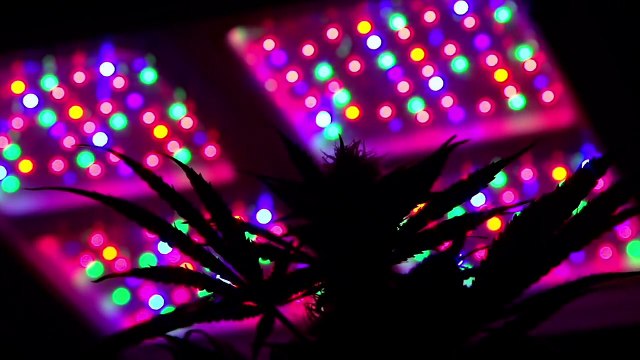 VICE Season 2_ Episode #6 Preview (HBO)