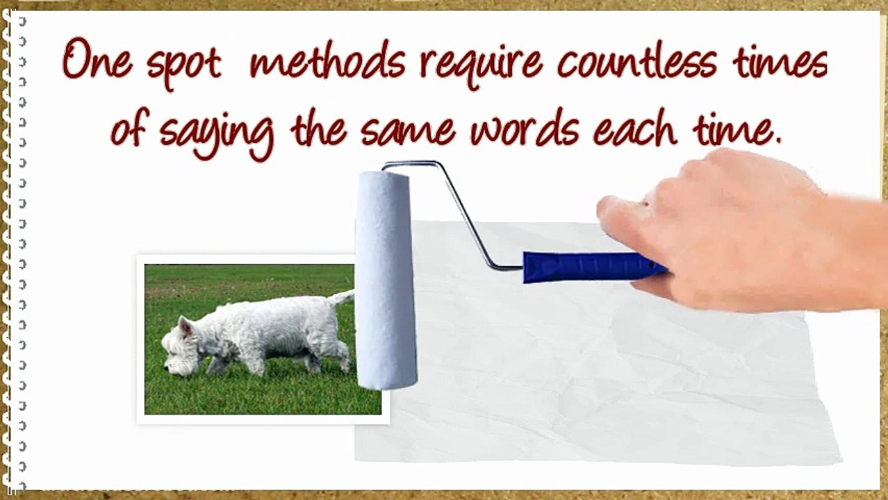 Potty Training West Highland White Terrier Westies!