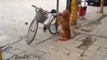 Best Dog Ever! - Dog Guards Owner's Bike!