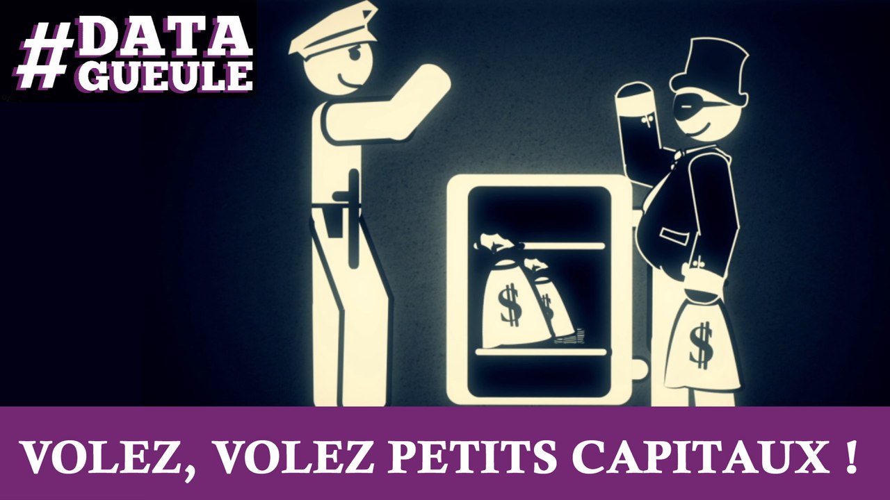 Volez, volez petits capitaux ! #DATAGUEULE 19