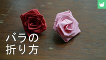 Petite Rose
