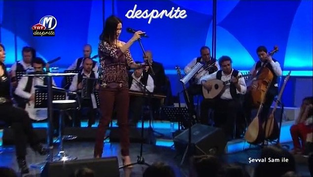 04 şevval sam gizli aşk bu 12.04.2012 şevval sam ile