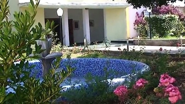 Hapesira te reja, vizione te reja