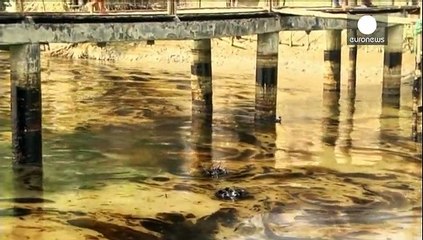 Bangladesh: naufraga cargo, in zona protetta migliaia di litri di petrolio