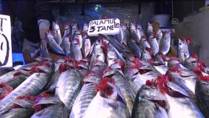 Az Hamsi Üzdü, Bol Palamut Yüz Güldürdü