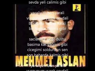 mehmet aslan