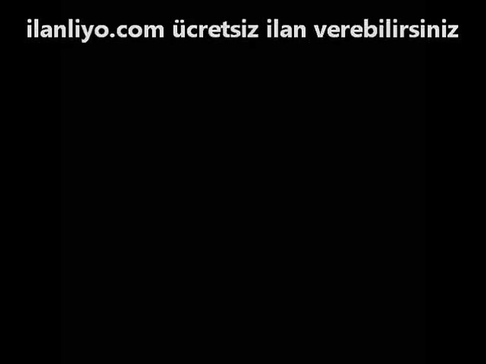 Sahibinden işaret bekleyen köpekcik
