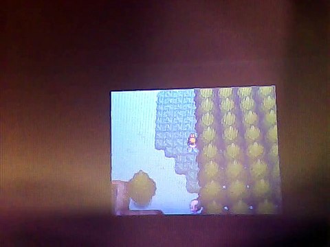 Let's Play Pokémon Argent Soulsilver, épisode 3 : Wattouat où t'es ?