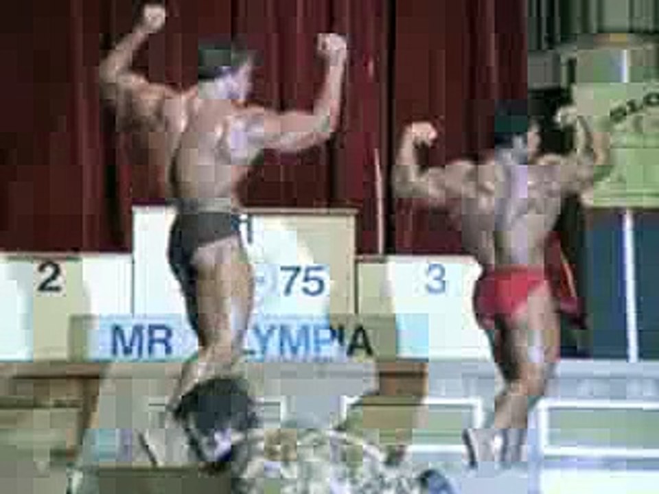 arnold body