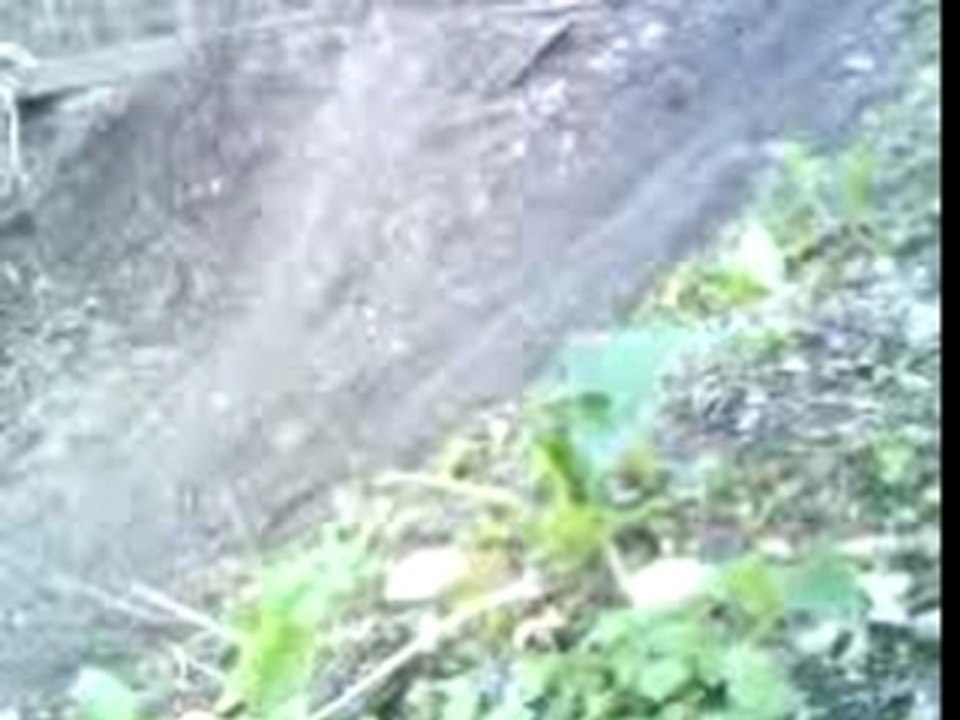 saut