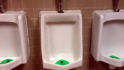 (25 Days of Christmas 2014) BTR Short- 1989? American Standard Lynbrook