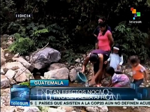 Guatemala: indígenas padecen efectos de actividad agrícola industrial