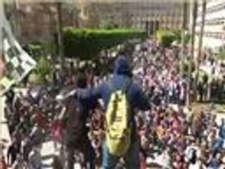 وزارة البحث العلمي المصرية تحتفل بعيد العلم