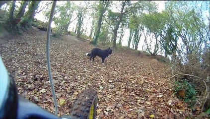 LABOU CAM EMBARQUEE 11 12 14