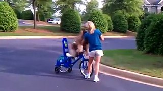 Dog Riding Bike must Watch- Funny