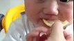 CUTE baby Eats Lemon - Reaction!! cute baby videos