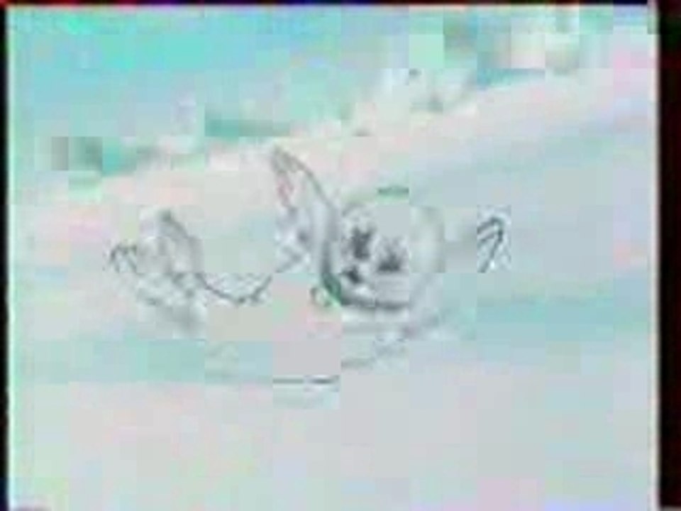 Bibifoc