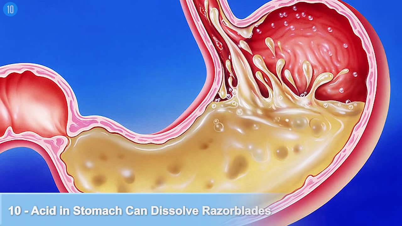 Top 10 Amazing Facts You Didn't Know About Yourself