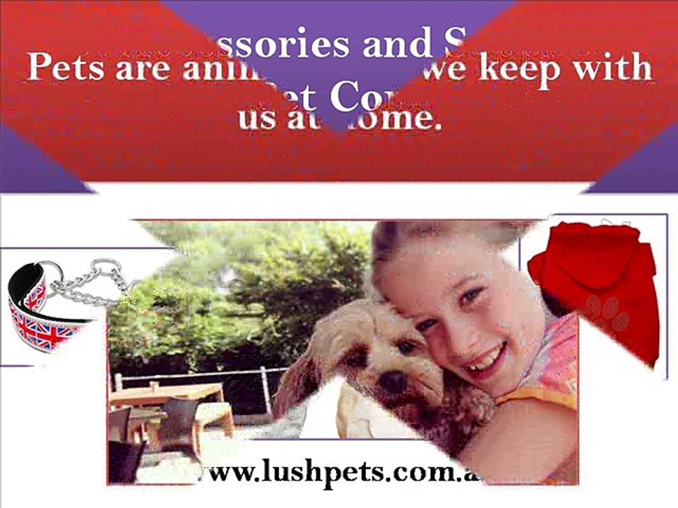Pet Accessories and Supplies - Lush Pets