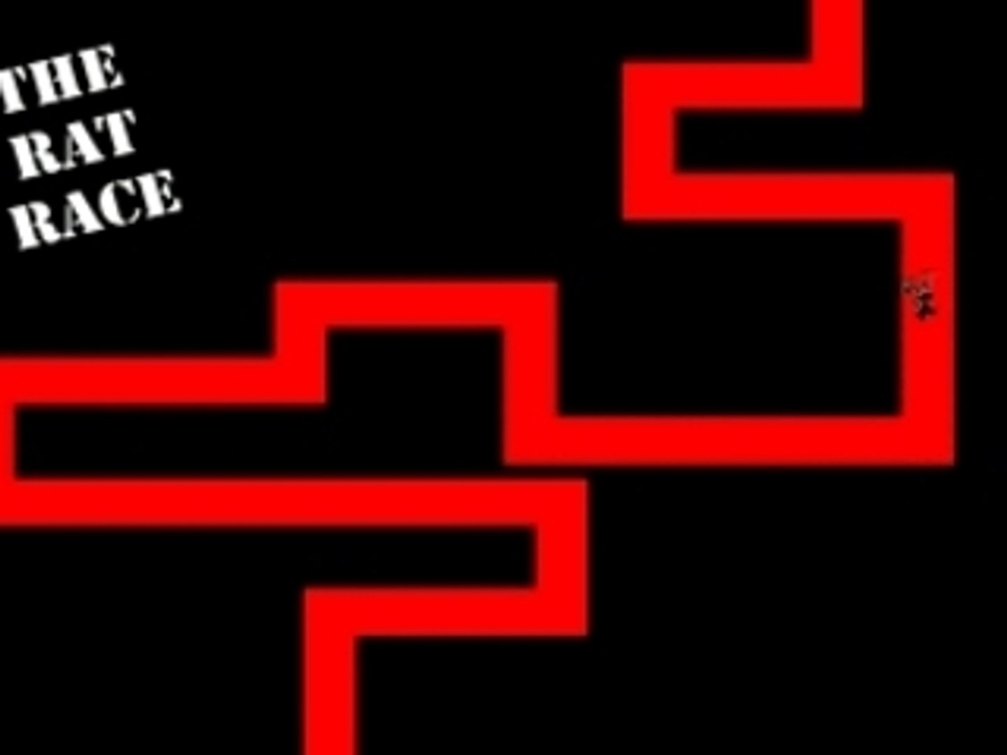Rat race