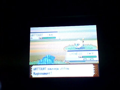 Let's Play Pokémon Argent Soulsilver, épisode 5 : Continuation avec Antonin