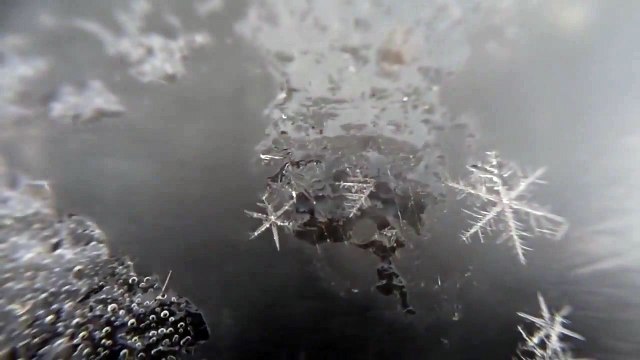 Naissance d'un flocon de neige!