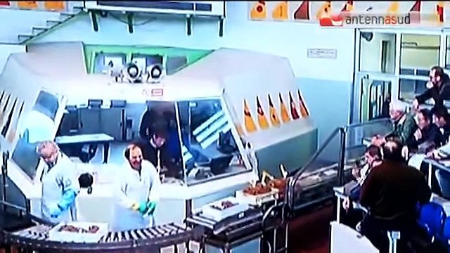 TG 12.12.14 Acquacoltura: mangiare più sano, mangiare più pesce