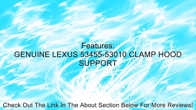 Toyota Genuine Parts 53455-53010 Lexus IS300 Hood Rod Support Clip Review